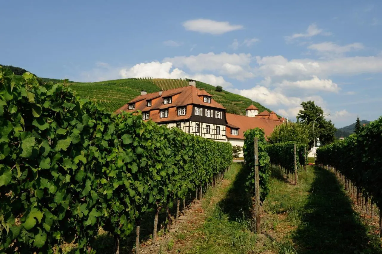 Hotel Residenz Im Schloss Neuweier Baden-Baden 3*,  Germany